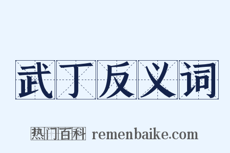 武丁反义词是什么意思的图片